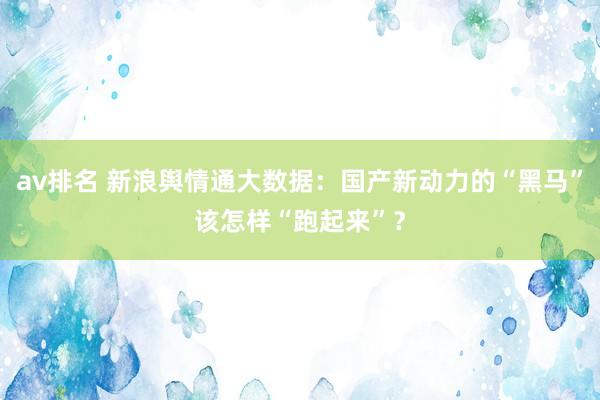 av排名 新浪舆情通大数据：国产新动力的“黑马”该怎样“跑起来”？