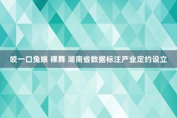 咬一口兔娘 裸舞 湖南省数据标注产业定约设立