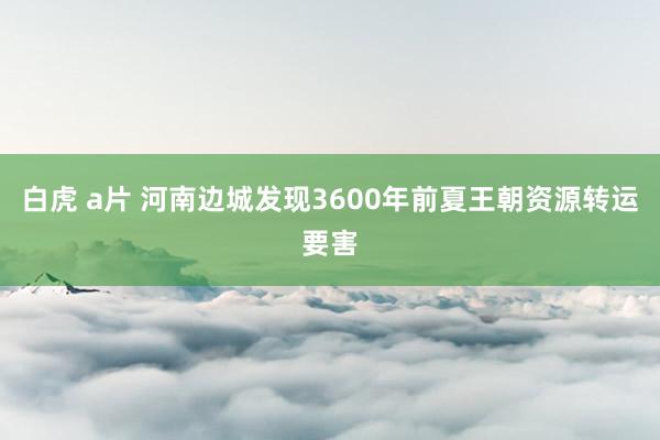 白虎 a片 河南边城发现3600年前夏王朝资源转运要害