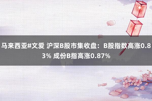 马来西亚#文爱 沪深B股市集收盘：B股指数高涨0.83% 成份B指高涨0.87%