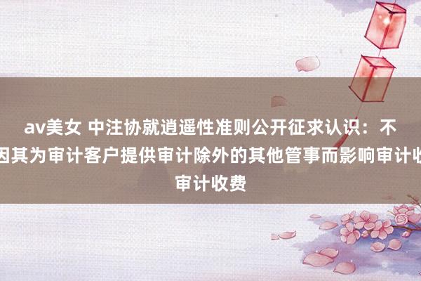 av美女 中注协就逍遥性准则公开征求认识：不得因其为审计客户提供审计除外的其他管事而影响审计收费