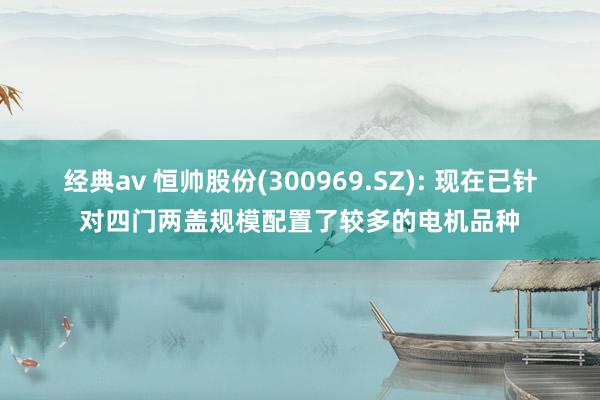 经典av 恒帅股份(300969.SZ): 现在已针对四门两盖规模配置了较多的电机品种