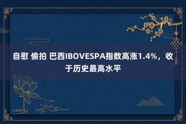 自慰 偷拍 巴西IBOVESPA指数高涨1.4%，收于历史最高水平