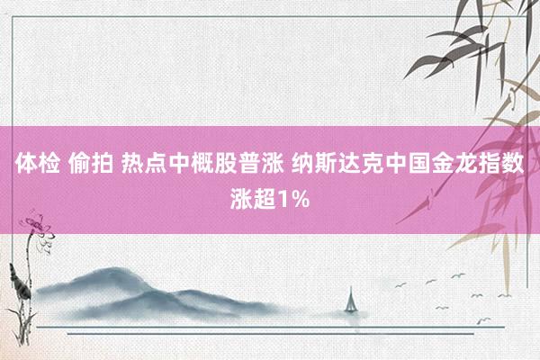 体检 偷拍 热点中概股普涨 纳斯达克中国金龙指数涨超1%