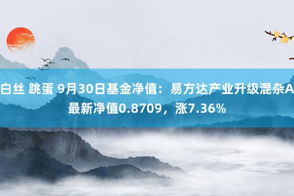 白丝 跳蛋 9月30日基金净值：易方达产业升级混杂A最新净值0.8709，涨7.36%