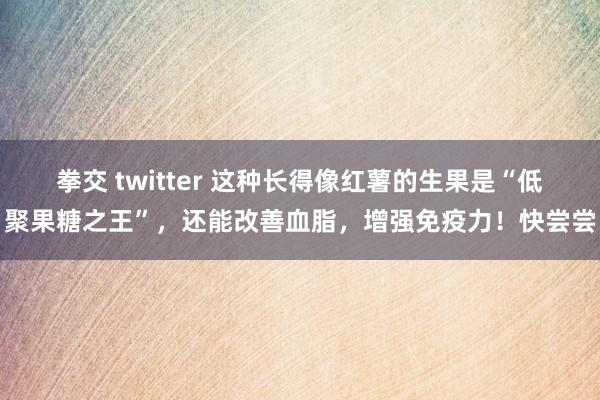 拳交 twitter 这种长得像红薯的生果是“低聚果糖之王”，还能改善血脂，增强免疫力！快尝尝