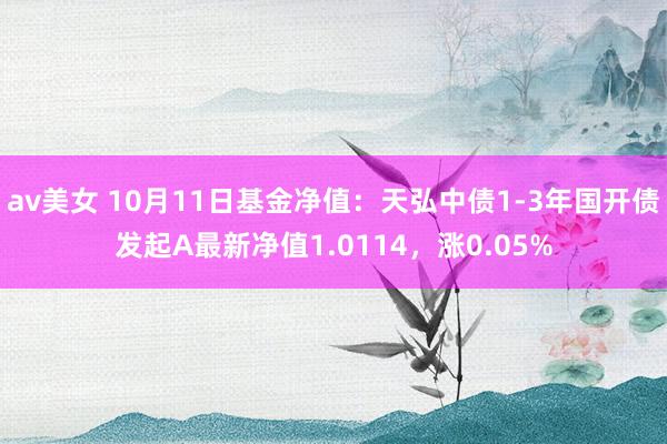 av美女 10月11日基金净值：天弘中债1-3年国开债发起A最新净值1.0114，涨0.05%