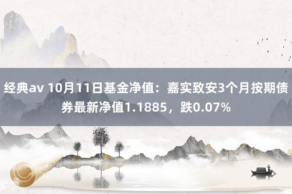 经典av 10月11日基金净值：嘉实致安3个月按期债券最新净值1.1885，跌0.07%