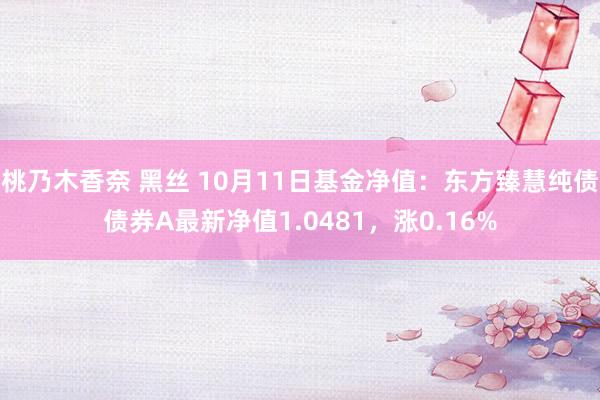 桃乃木香奈 黑丝 10月11日基金净值：东方臻慧纯债债券A最新净值1.0481，涨0.16%