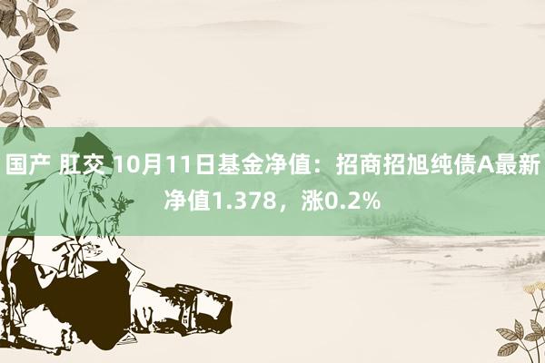 国产 肛交 10月11日基金净值：招商招旭纯债A最新净值1.378，涨0.2%