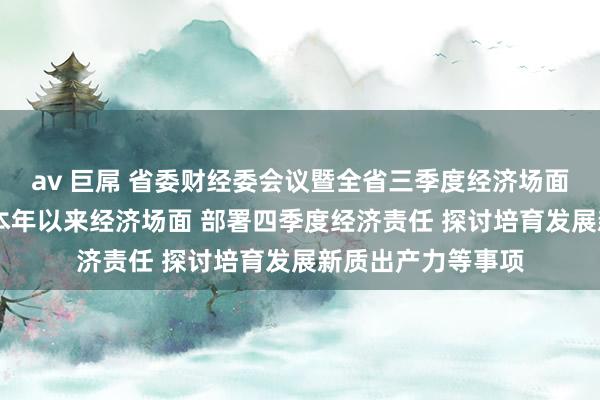 av 巨屌 省委财经委会议暨全省三季度经济场面分析会召开 分析本年以来经济场面 部署四季度经济责任 探讨培育发展新质出产力等事项