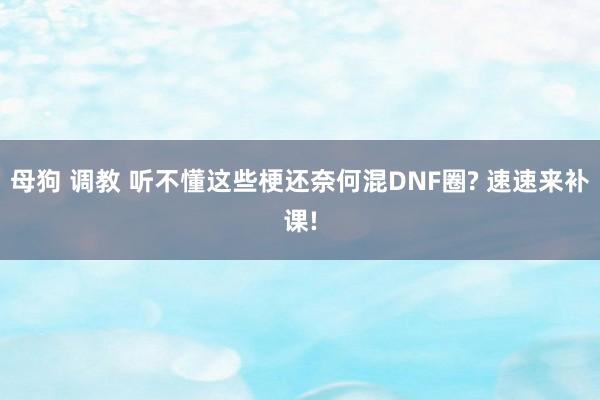 母狗 调教 听不懂这些梗还奈何混DNF圈? 速速来补课!