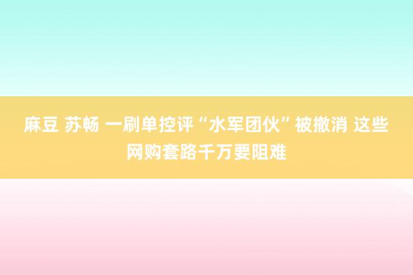 麻豆 苏畅 一刷单控评“水军团伙”被撤消 这些网购套路千万要阻难