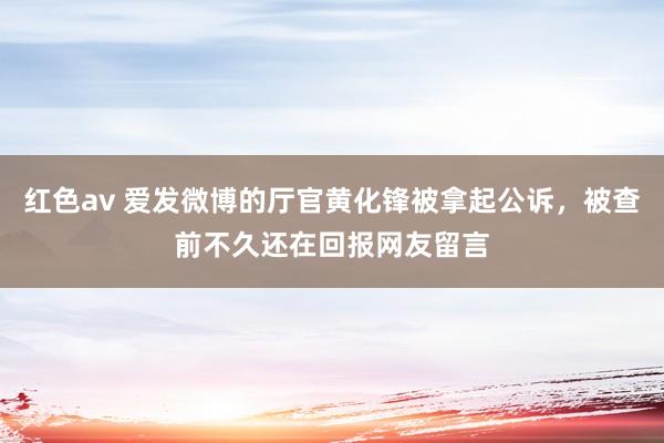 红色av 爱发微博的厅官黄化锋被拿起公诉，被查前不久还在回报网友留言