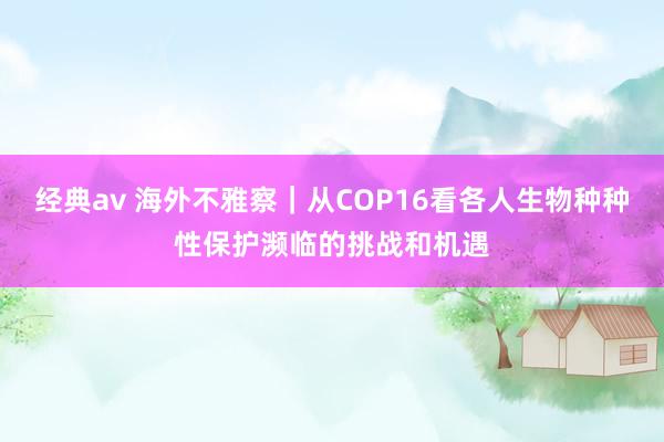 经典av 海外不雅察｜从COP16看各人生物种种性保护濒临的挑战和机遇