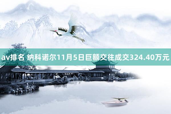 av排名 纳科诺尔11月5日巨额交往成交324.40万元