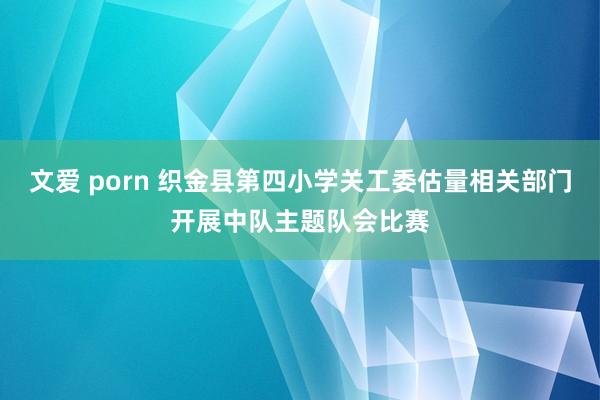 文爱 porn 织金县第四小学关工委估量相关部门开展中队主题队会比赛