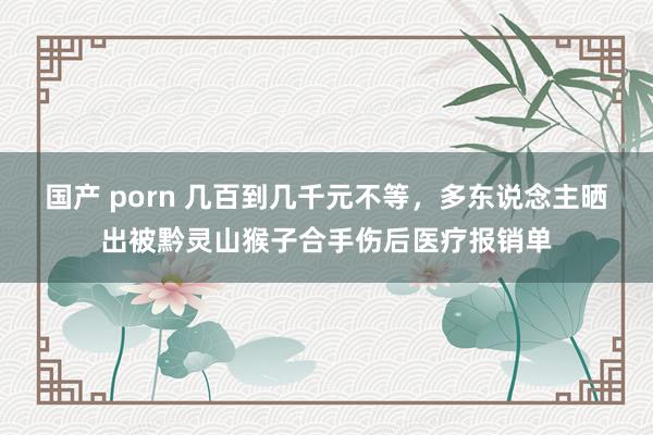 国产 porn 几百到几千元不等，多东说念主晒出被黔灵山猴子合手伤后医疗报销单