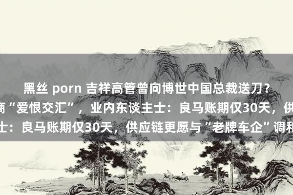 黑丝 porn 吉祥高管曾向博世中国总裁送刀？两边陈述！车厂和供应商“爱恨交汇”，业内东谈主士：良马账期仅30天，供应链更愿与“老牌车企”调和