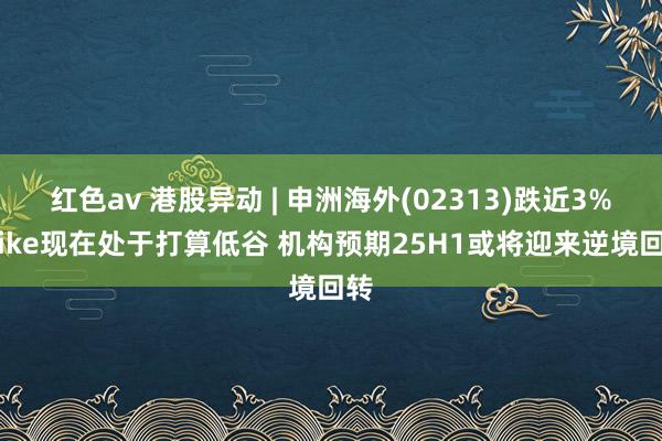 红色av 港股异动 | 申洲海外(02313)跌近3% Nike现在处于打算低谷 机构预期25H1或将迎来逆境回转