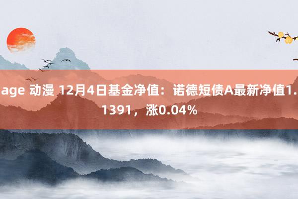 age 动漫 12月4日基金净值：诺德短债A最新净值1.1391，涨0.04%