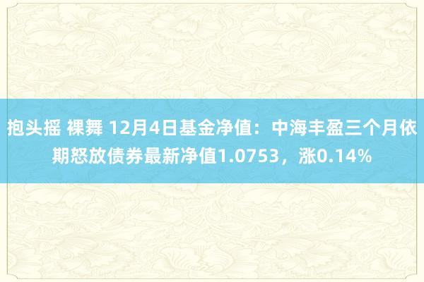 抱头摇 裸舞 12月4日基金净值：中海丰盈三个月依期怒放债券最新净值1.0753，涨0.14%