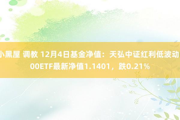 小黑屋 调教 12月4日基金净值：天弘中证红利低波动100ETF最新净值1.1401，跌0.21%