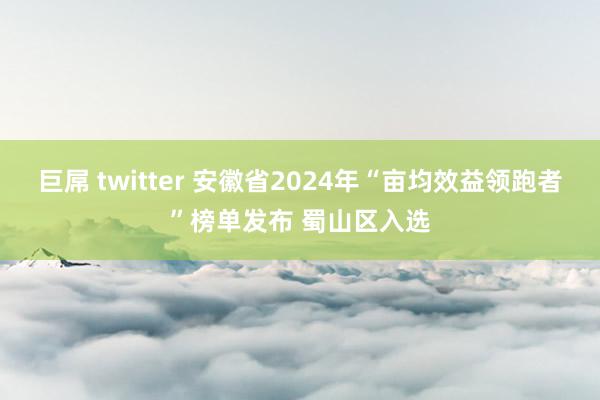 巨屌 twitter 安徽省2024年“亩均效益领跑者”榜单发布 蜀山区入选