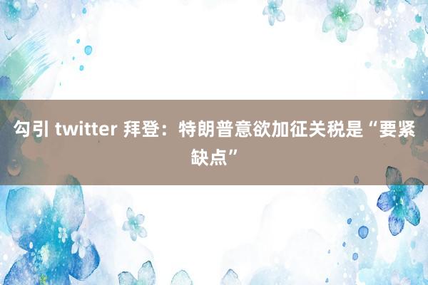 勾引 twitter 拜登：特朗普意欲加征关税是“要紧缺点”