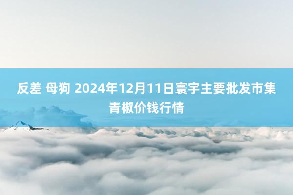 反差 母狗 2024年12月11日寰宇主要批发市集青椒价钱行情