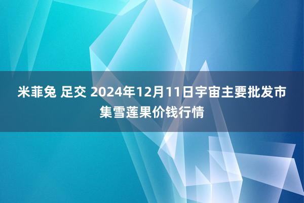 米菲兔 足交 2024年12月11日宇宙主要批发市集雪莲果价钱行情