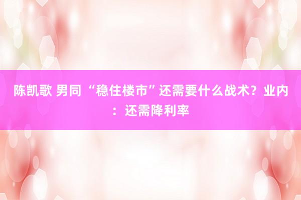 陈凯歌 男同 “稳住楼市”还需要什么战术？业内：还需降利率