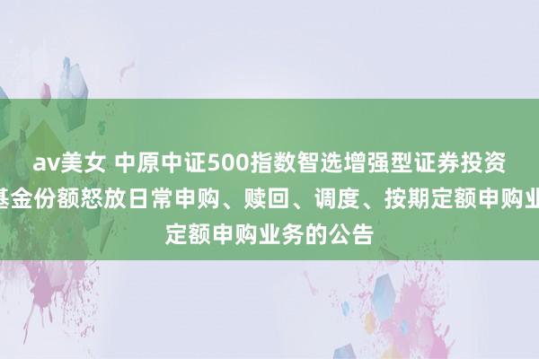 av美女 中原中证500指数智选增强型证券投资基金Y类基金份额怒放日常申购、赎回、调度、按期定额申购业务的公告