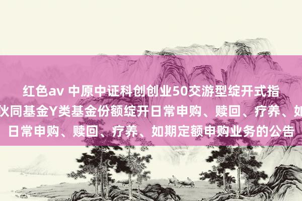 红色av 中原中证科创创业50交游型绽开式指数证券投资基金发起式伙同基金Y类基金份额绽开日常申购、赎回、疗养、如期定额申购业务的公告