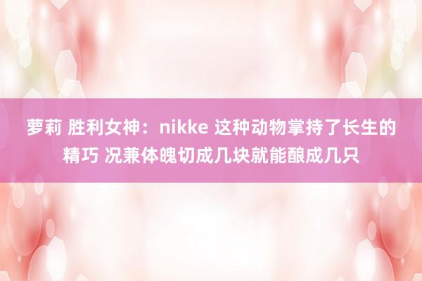 萝莉 胜利女神：nikke 这种动物掌持了长生的精巧 况兼体魄切成几块就能酿成几只