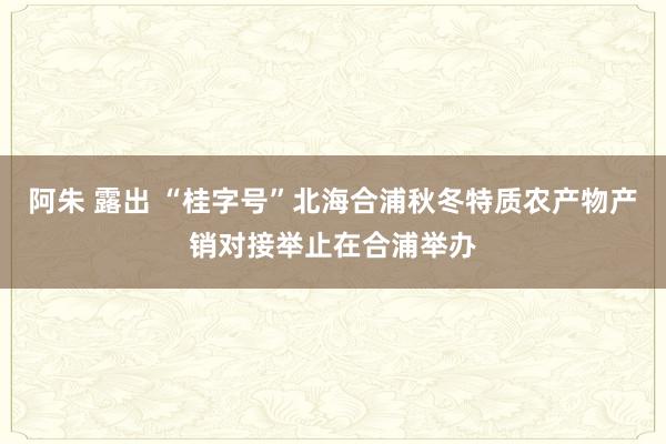 阿朱 露出 “桂字号”北海合浦秋冬特质农产物产销对接举止在合浦举办