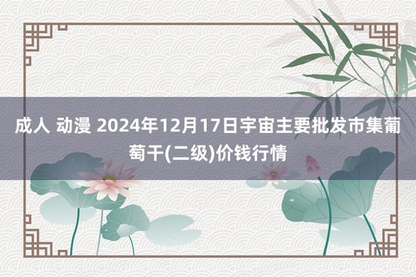 成人 动漫 2024年12月17日宇宙主要批发市集葡萄干(二级)价钱行情