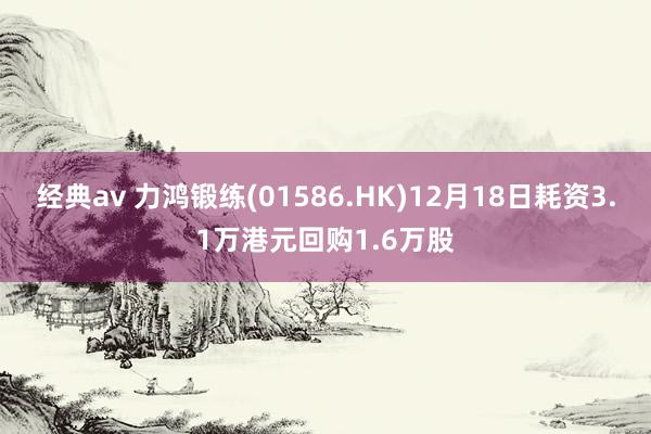 经典av 力鸿锻练(01586.HK)12月18日耗资3.1万港元回购1.6万股