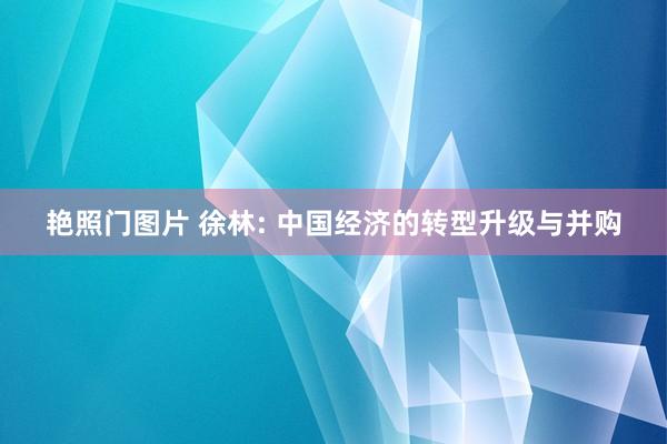 艳照门图片 徐林: 中国经济的转型升级与并购