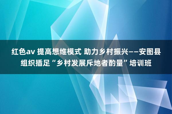 红色av 提高想维模式 助力乡村振兴——安图县组织插足“乡村发展斥地者酌量”培训班