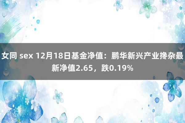 女同 sex 12月18日基金净值：鹏华新兴产业搀杂最新净值2.65，跌0.19%