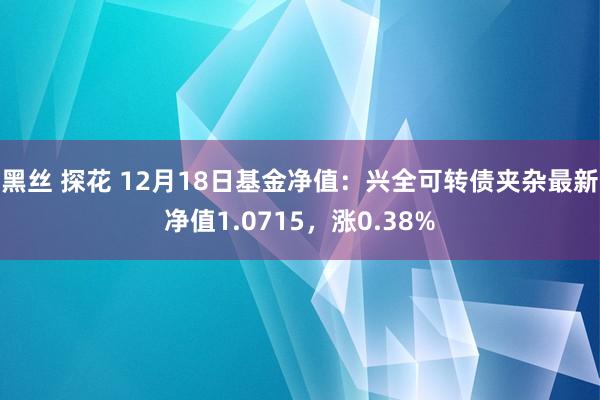 黑丝 探花 12月18日基金净值：兴全可转债夹杂最新净值1.0715，涨0.38%