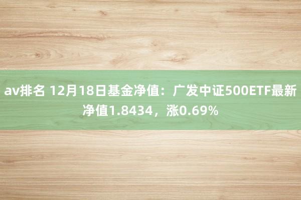 av排名 12月18日基金净值：广发中证500ETF最新净值1.8434，涨0.69%