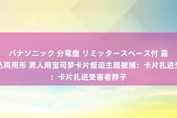 パナソニック 分電盤 リミッタースペース付 露出・半埋込両用形 男人用宝可梦卡片蹙迫主顾被捕：卡片扎进受害者脖子