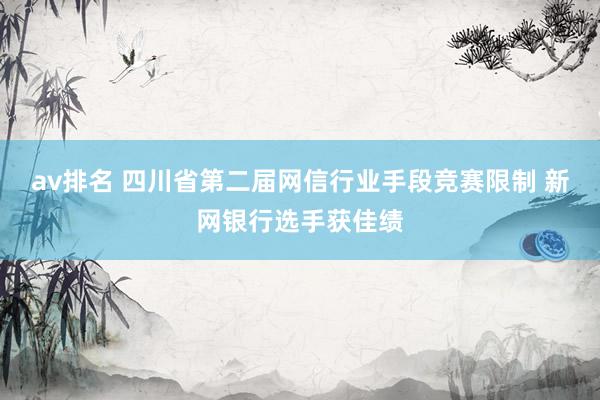 av排名 四川省第二届网信行业手段竞赛限制 新网银行选手获佳绩