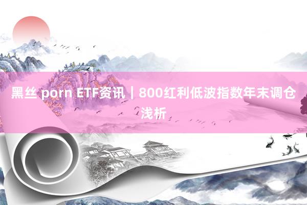 黑丝 porn ETF资讯｜800红利低波指数年末调仓浅析