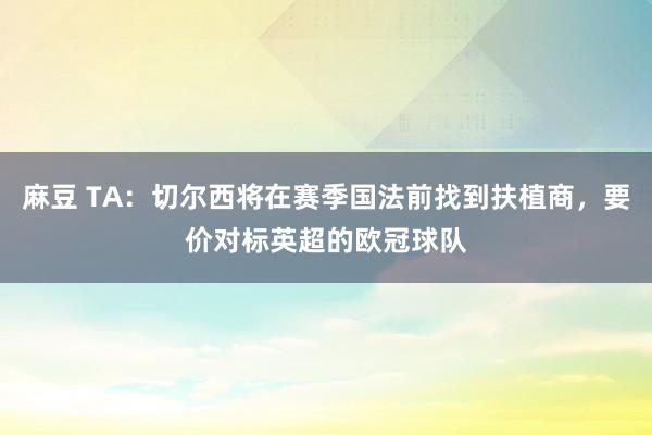 麻豆 TA：切尔西将在赛季国法前找到扶植商，要价对标英超的欧冠球队