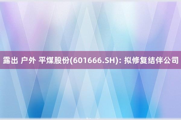 露出 户外 平煤股份(601666.SH): 拟修复结伴公司