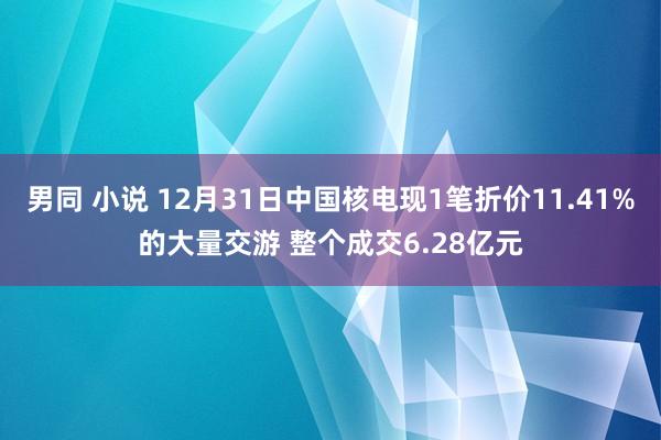 男同 小说 12月31日中国核电现1笔折价11.41%的大量交游 整个成交6.28亿元