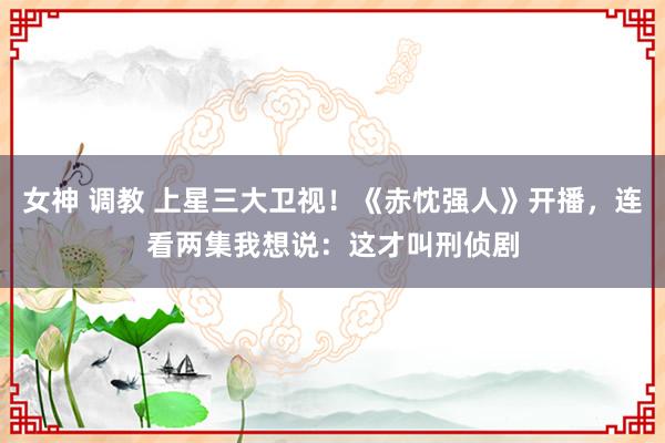 女神 调教 上星三大卫视！《赤忱强人》开播，连看两集我想说：这才叫刑侦剧